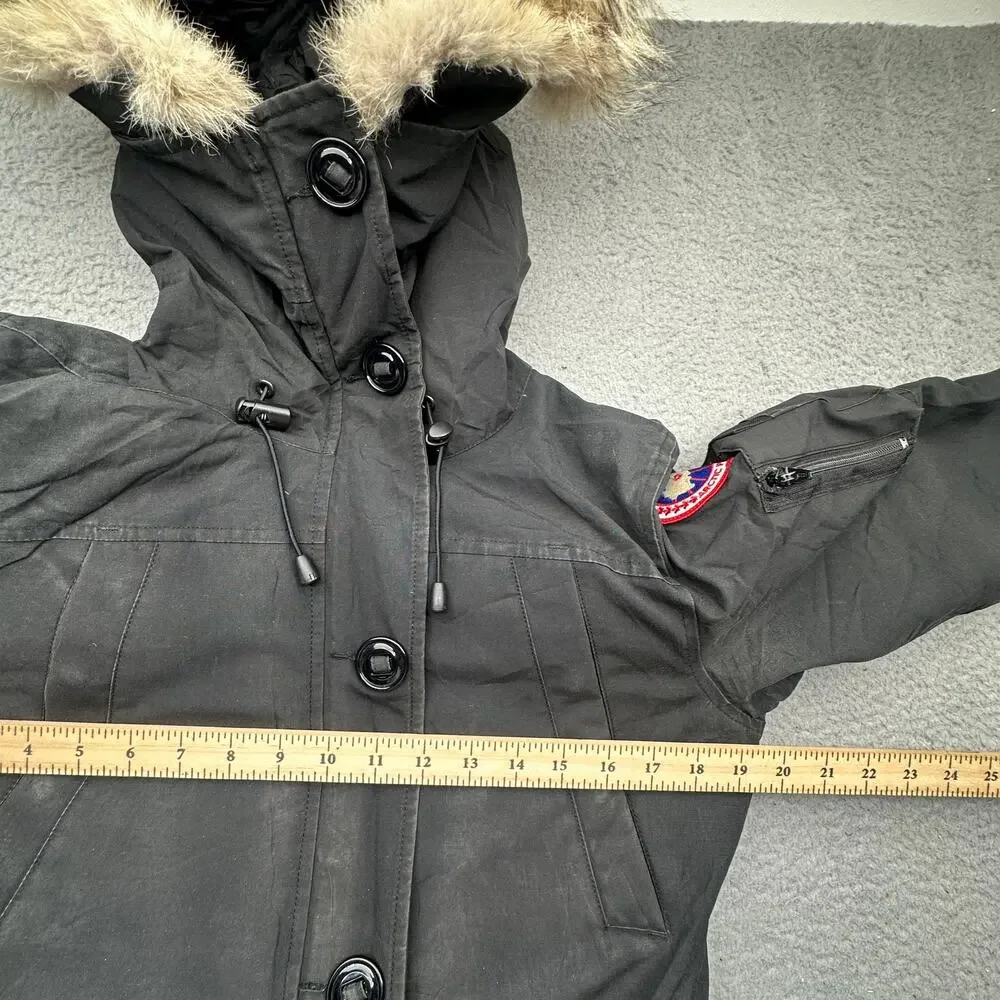 Canada Goose canada goose